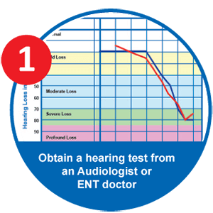 EarCentric PRO200 Hearing Aid Custom Programm Step 1: Audiogram