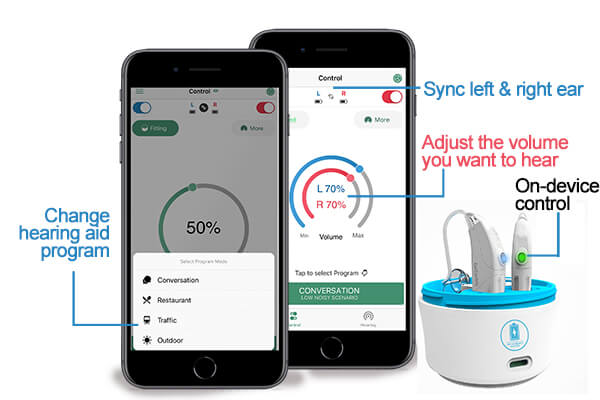 Ear Centric Rechargeable Hearing Aids Dicso hearing aids